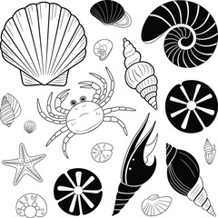 Sea Life Illustration Set: Shells, Starfish, Crab, and Marine Creatures for Coastal and Nautical Designs