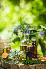 Concept of pure natural ingredients for cosmetic production. Alternative herbal medicine. Bottles of tincture or potion, organic essential oils, dry healthy herbs, floral extracts on wooden table