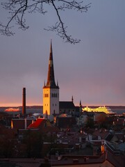 Obraz premium Panoramic view of the city skyline of the old town of Tallinn, Estonia. The spire of St. Olaf's Church during the golden hour at sunset.