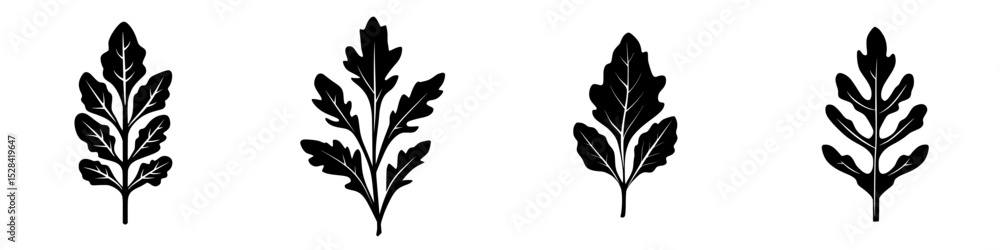 Poster icon set featuring various leaf silhouettes on a clean background showcasing different shapes and st
