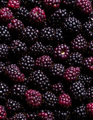 Loganberries still life photograph