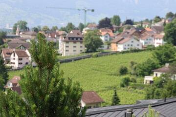 Vaduz cityscapes in summer