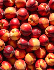 Nectarine still life photograph