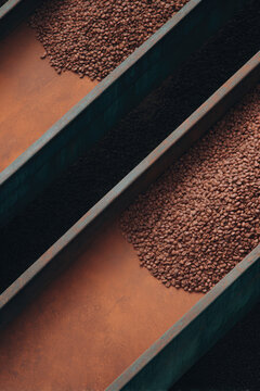 Roasted coffee beans are arranged in three parallel metal trays, partially filling them. Concept: industrial coffee processing
