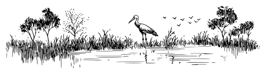 stork in wetland among trees and grass doodle vector sketch