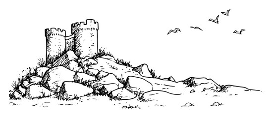 ruined castle tower on rocky mountain with birds