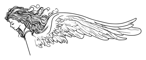 angel with flowing hair and wings in profile view