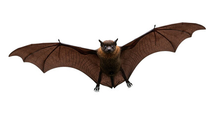 A brown bat flies forward with its wings spread against a dark backdrop.