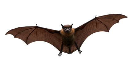 A brown bat flies forward with its wings spread against a dark backdrop.