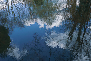 Reflection of the trees and blue sky and clouds in the water, England 