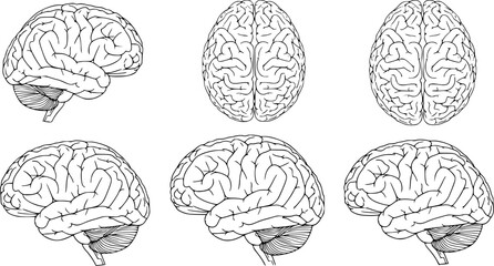 set human brain black vector silhouettes outline coloring book page line art