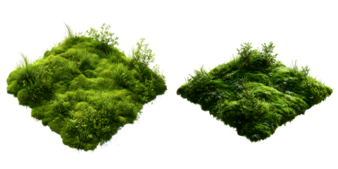 Two lush green moss patches, isolated on transparent background, display varied textures and small plants