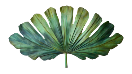 A vibrant green palm frond, isolated on transparent background, displays intricate veining and a lush tropical feel