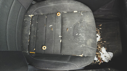 Dirty car backseat with sunflower seed shells, crumbs, and snacks scattered across the upholstery...