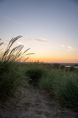 sunset over the field