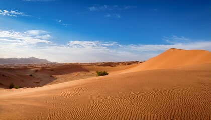 Fototapeta premium beautiful desert landscape with sand dunes and blue sky