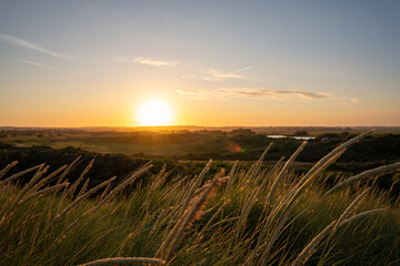 sunset over the field