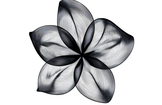 Logo, a minimalistic design of an optical illusion with the shape of a flower made from black lines, a vector graphic on a transparent background