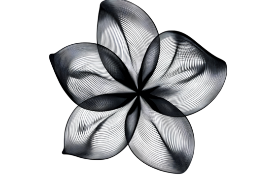 Logo, a minimalistic design of an optical illusion with the shape of a flower made from black lines, a vector graphic on a transparent background