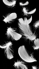 Obraz premium White Feathers Falling on Black Background