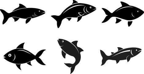 Tuna Fish vector 