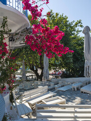 The Old town of Skiathos, Sporades, Thessaly, Greece