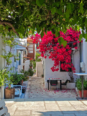 The Old town of Skiathos, Sporades, Thessaly, Greece