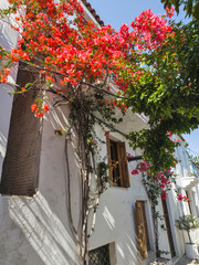 The Old town of Skiathos, Sporades, Thessaly, Greece