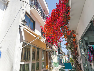 The Old town of Skiathos, Sporades, Thessaly, Greece
