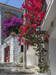 The Old town of Skiathos, Sporades, Thessaly, Greece