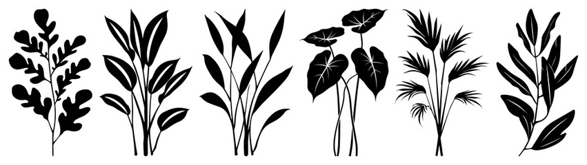 PNG Botanical silhouette vector illustration, element set on transparent background