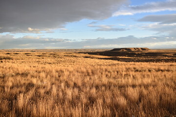 Obraz premium wide open spaces
