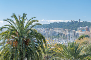 Aerial view of the port of Palma, Spain