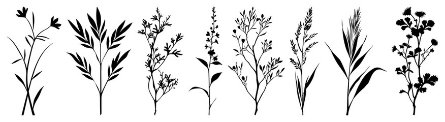 Naklejka premium PNG Silhouette botanical plant illustrations, element set on transparent background