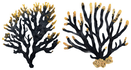 Naklejka premium PNG Elegant black and gold coral, element set on transparent background