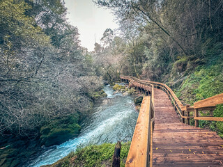 Wooden walkway winding through lush forest alongside a flowing river, creating a serene and picturesque nature trail in Pindelo, Outeiro, Oliveira de Azemeis, Portugal