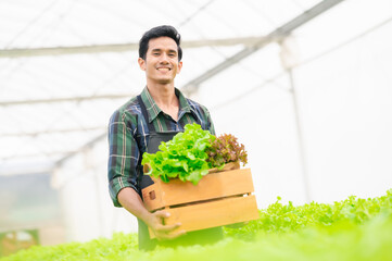 Happy smiling Asian man farmer holding basket with fresh organic vegetable in greenhouse