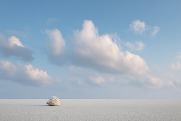 minimalist depiction of solitary shell on clean background emphasizing soft pastel color of shell