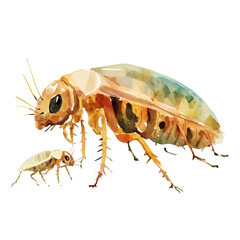 A Mother Flea With Her Kid, watercolor painting vector, high quality, isolated on a white background.