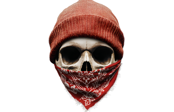 Skull with a beanie and red bandana, white background, PNG transparent