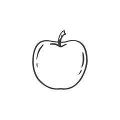 hand drawn apple isolated on white. Apple in doodle style. Vector
