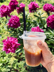 Hand holding a plastic cup of iced coffee in a blooming garden with vibrant pink peonies in the background, refreshing summer drink outdoors, concept of lifestyle and relaxation