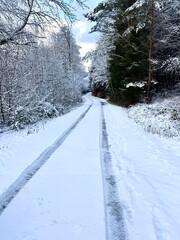 Fototapeta premium Tire tracks in the Snow in a Forest in germany 