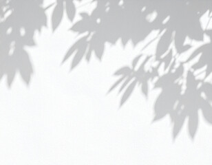 Soft Leaf Shadows Cast on White Wall, Creating Abstract Natural Patterns