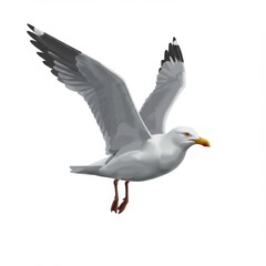 Obraz premium White Seagull in Flight Against White Background