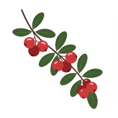 Red Cranberries on Branch with Green Leaves Illustration