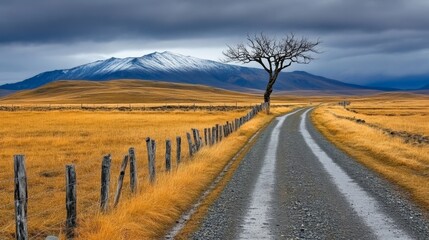 Fototapeta premium A winding dirt road runs through a golden field with a solitary tree and snow-capped mountain in the background