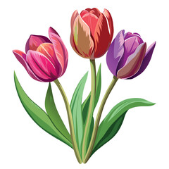 Fototapeta premium Hyper-Realistic Tulips – Watercolor Vector Icon on White Background