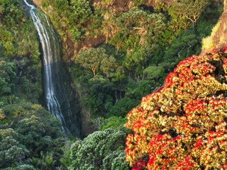 A stunning waterfall plunges through dense forest, highlighted by a brilliant red Pohutukawa tree...