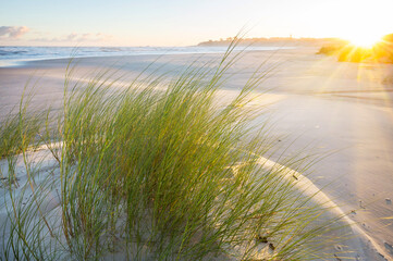 Sandy beach